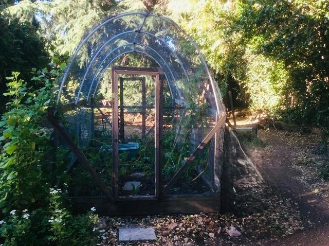 Detail Gallery Image 6 of 12 For 1280 Grant Rd, Los Altos,  CA 94024 - 5 Beds | 2/1 Baths