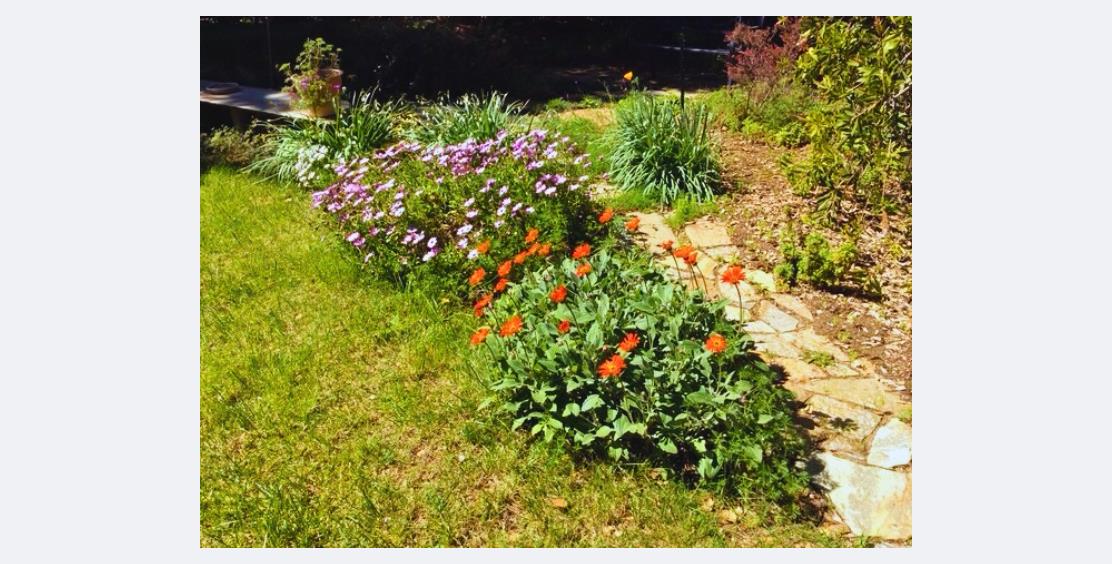 Detail Gallery Image 7 of 12 For 1280 Grant Rd, Los Altos,  CA 94024 - 5 Beds | 2/1 Baths