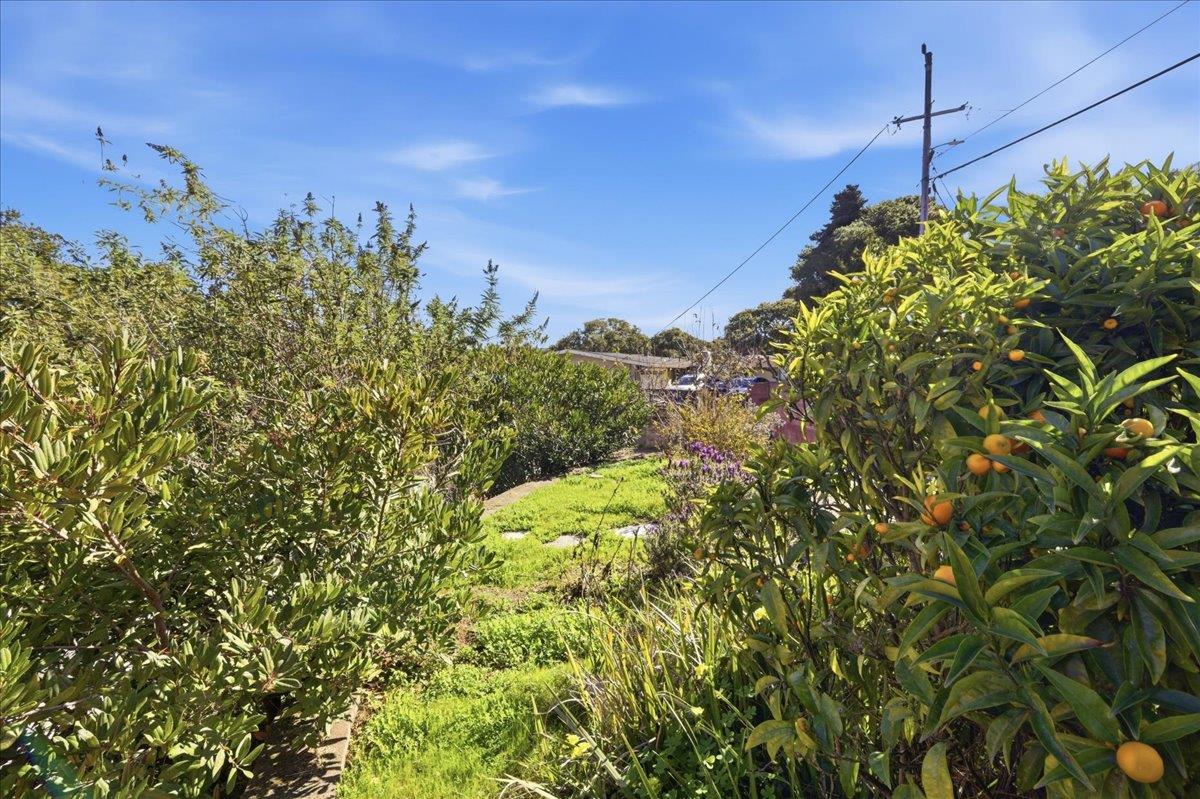 Detail Gallery Image 40 of 50 For 17 Los Encinos Dr, Del Rey Oaks,  CA 93940 - 3 Beds | 2 Baths