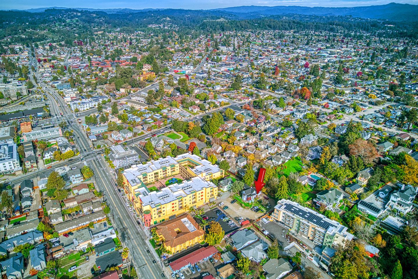 Detail Gallery Image 8 of 17 For 338 Ocean St, Santa Cruz,  CA 95060 - – Beds | – Baths