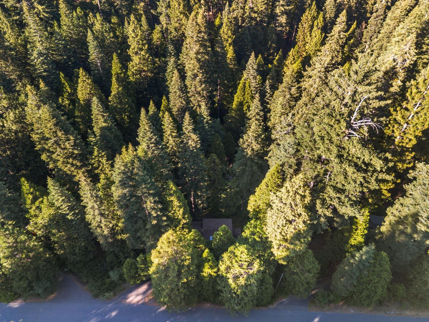 Detail Gallery Image 32 of 37 For 2178 Karock Rd, Arnold,  CA 95223 - 3 Beds | 2 Baths