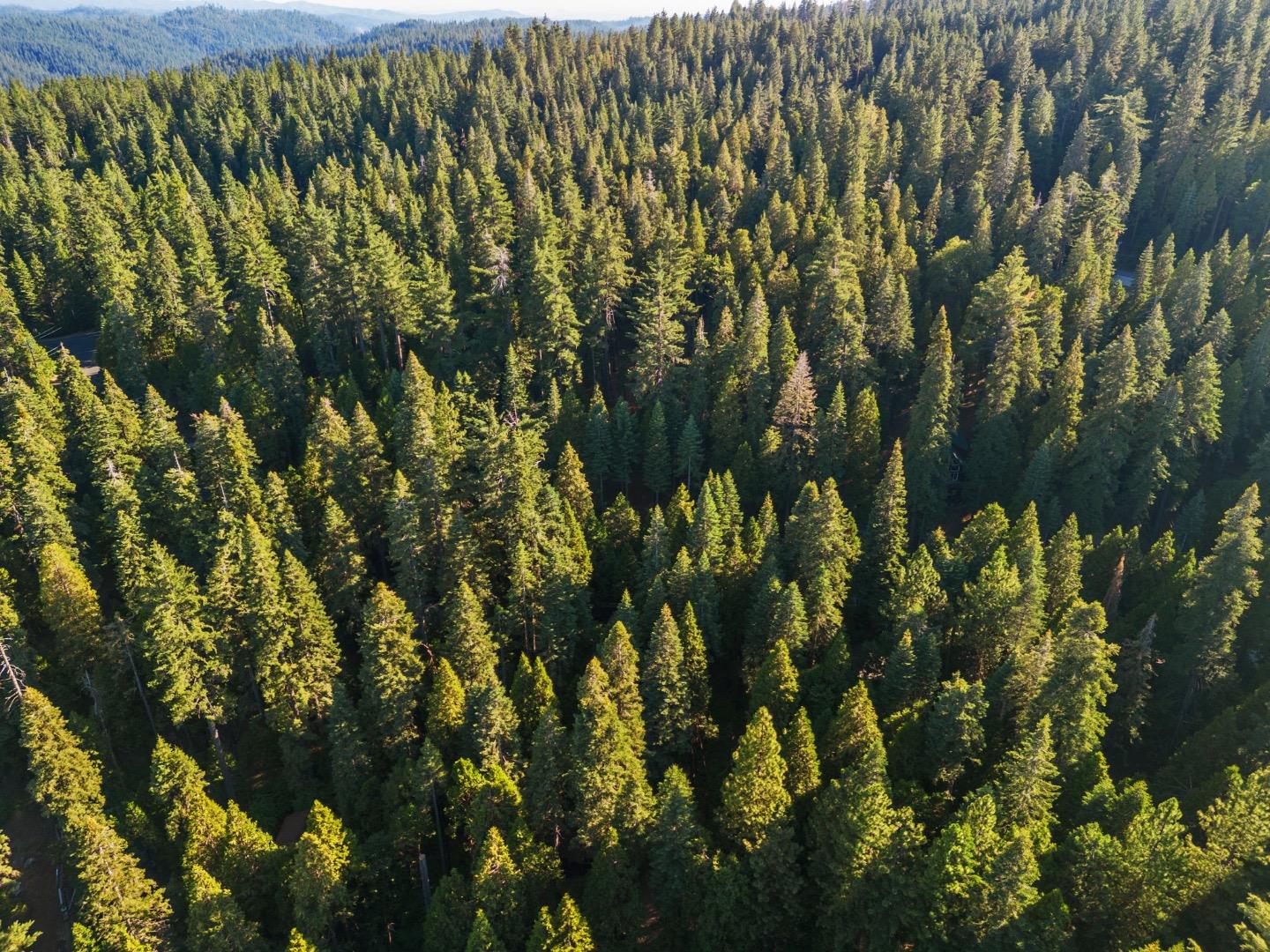 Detail Gallery Image 34 of 37 For 2178 Karock Rd, Arnold,  CA 95223 - 3 Beds | 2 Baths