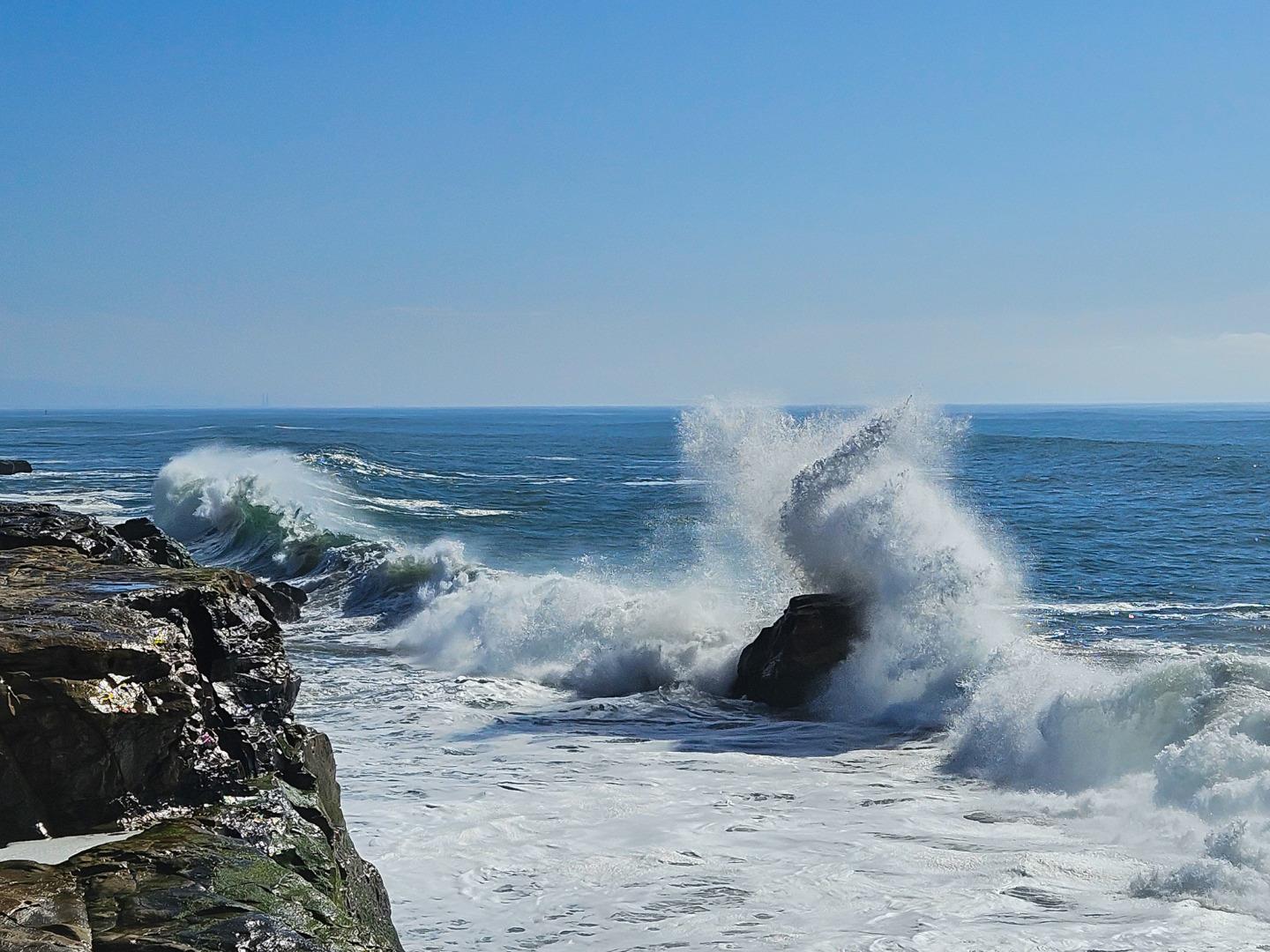 Detail Gallery Image 17 of 25 For 1311 Delaware Ave, Santa Cruz,  CA 95060 - 3 Beds | 1 Baths