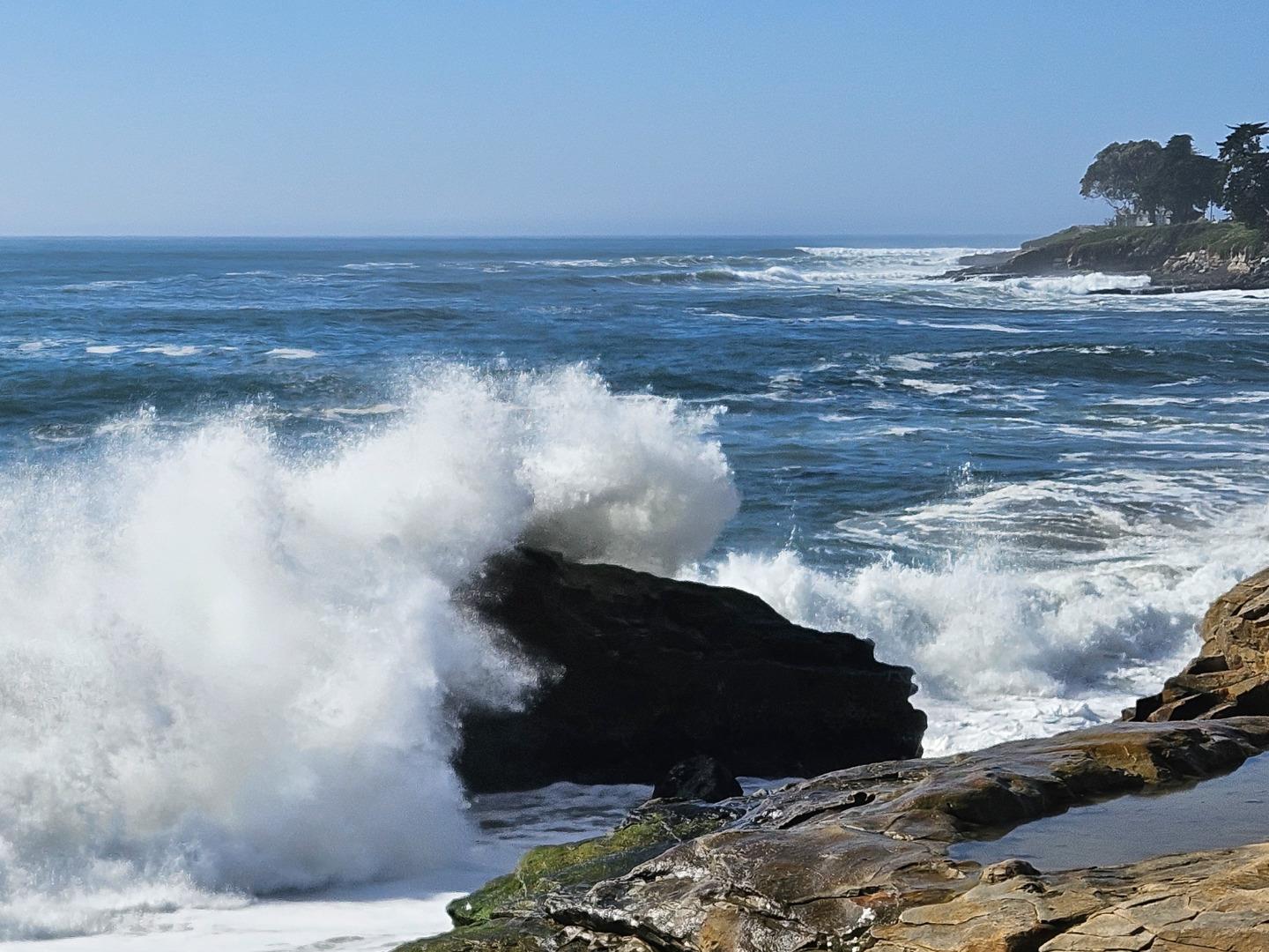 Detail Gallery Image 18 of 25 For 1311 Delaware Ave, Santa Cruz,  CA 95060 - 3 Beds | 1 Baths