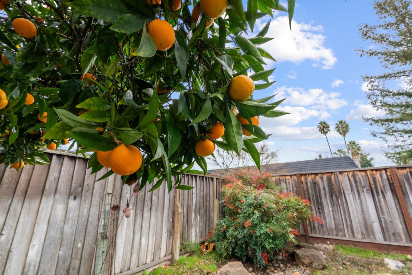 Detail Gallery Image 34 of 41 For 4537 Heppner Ln, San Jose,  CA 95136 - 3 Beds | 2/1 Baths