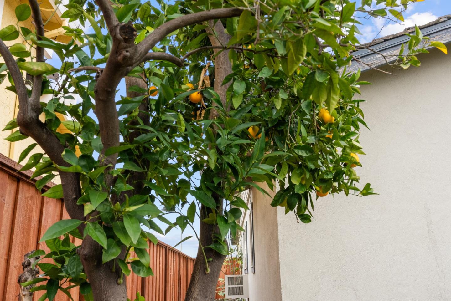 Detail Gallery Image 37 of 41 For 4537 Heppner Ln, San Jose,  CA 95136 - 3 Beds | 2/1 Baths