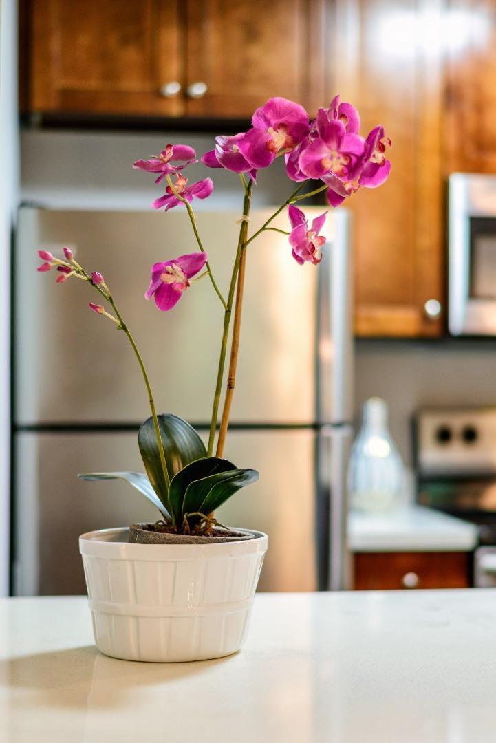 Detail Gallery Image 4 of 68 For 6148 Shelter Creek Ln, San Bruno,  CA 94066 - 1 Beds | 1 Baths