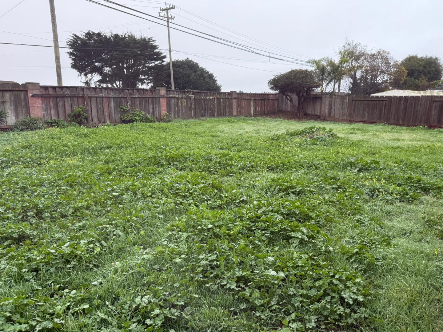 Detail Gallery Image 13 of 19 For 18650 Swaner Ave, Salinas,  CA 93906 - 3 Beds | 2 Baths