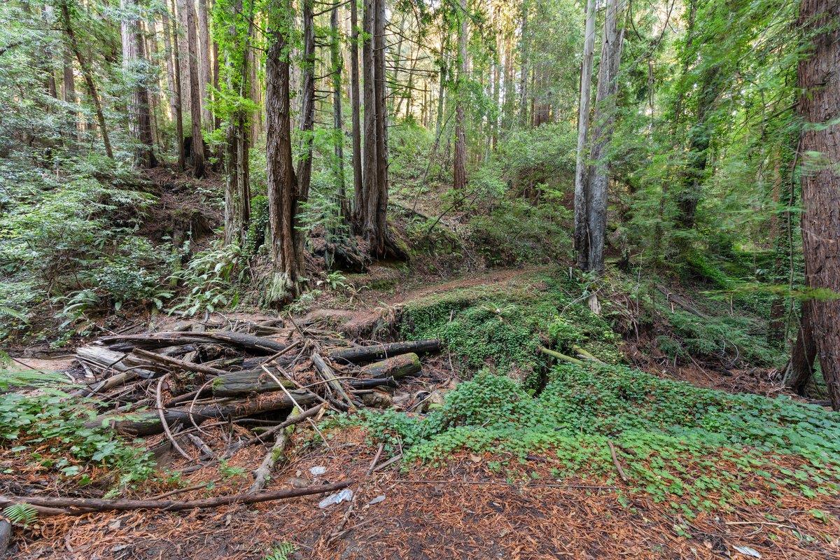 Detail Gallery Image 2 of 24 For 3936 Tunitas Creek Rd, Half Moon Bay,  CA 94019 - – Beds | – Baths