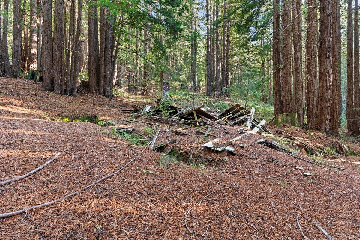 Detail Gallery Image 20 of 24 For 3936 Tunitas Creek Rd, Half Moon Bay,  CA 94019 - – Beds | – Baths