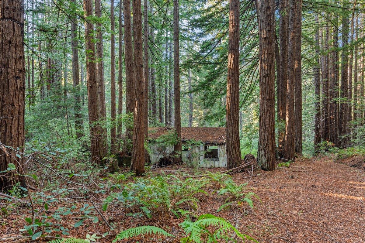 Detail Gallery Image 21 of 24 For 3936 Tunitas Creek Rd, Half Moon Bay,  CA 94019 - – Beds | – Baths