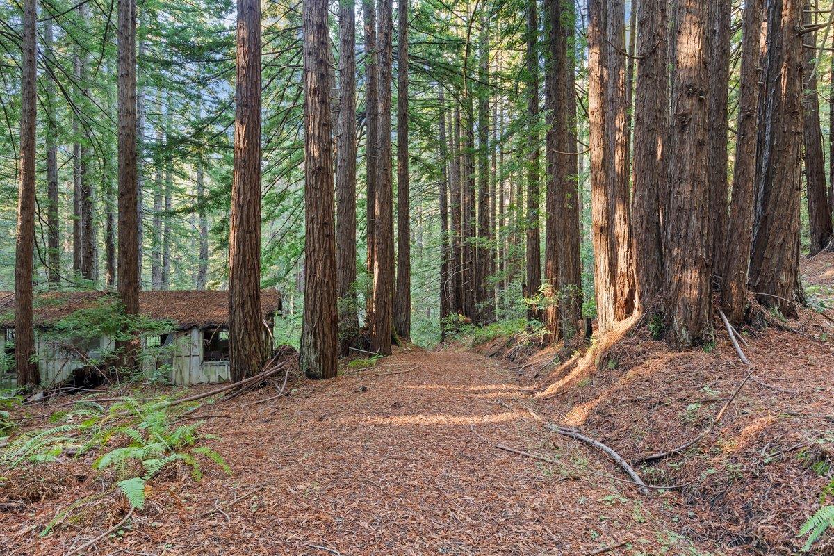 Detail Gallery Image 22 of 24 For 3936 Tunitas Creek Rd, Half Moon Bay,  CA 94019 - – Beds | – Baths