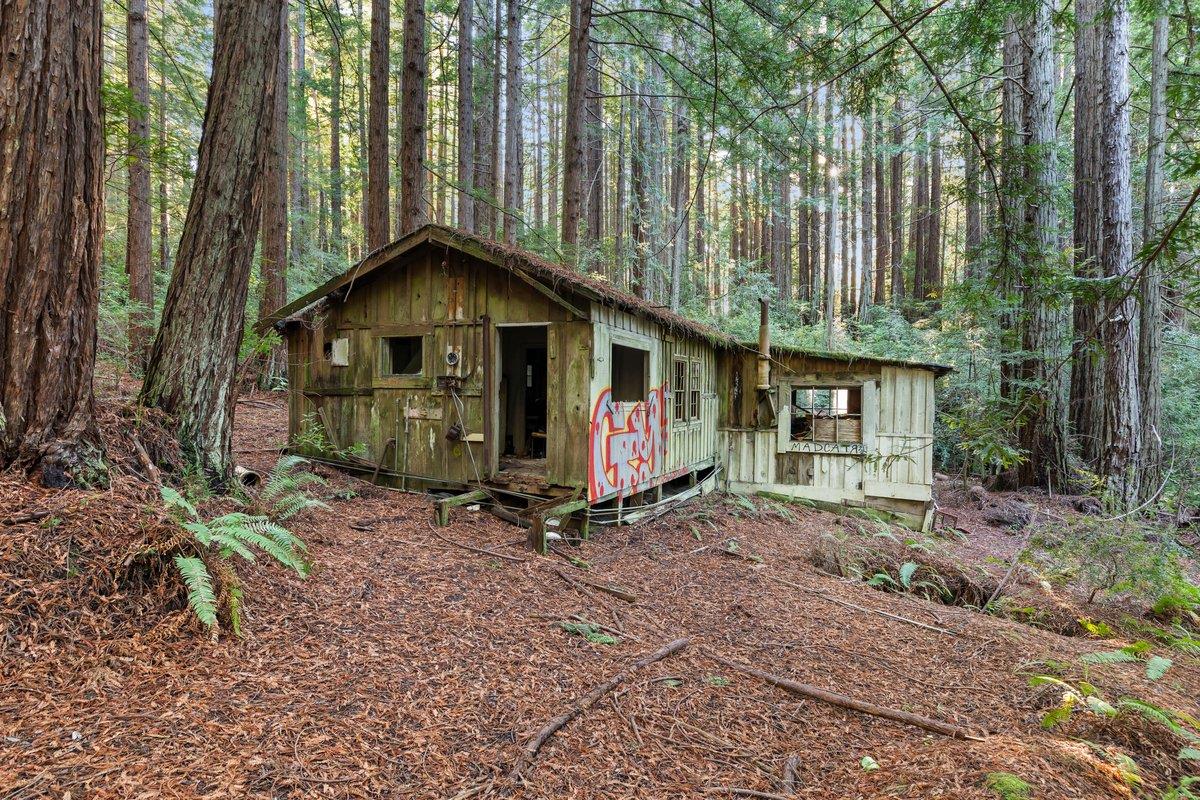 Detail Gallery Image 23 of 24 For 3936 Tunitas Creek Rd, Half Moon Bay,  CA 94019 - – Beds | – Baths