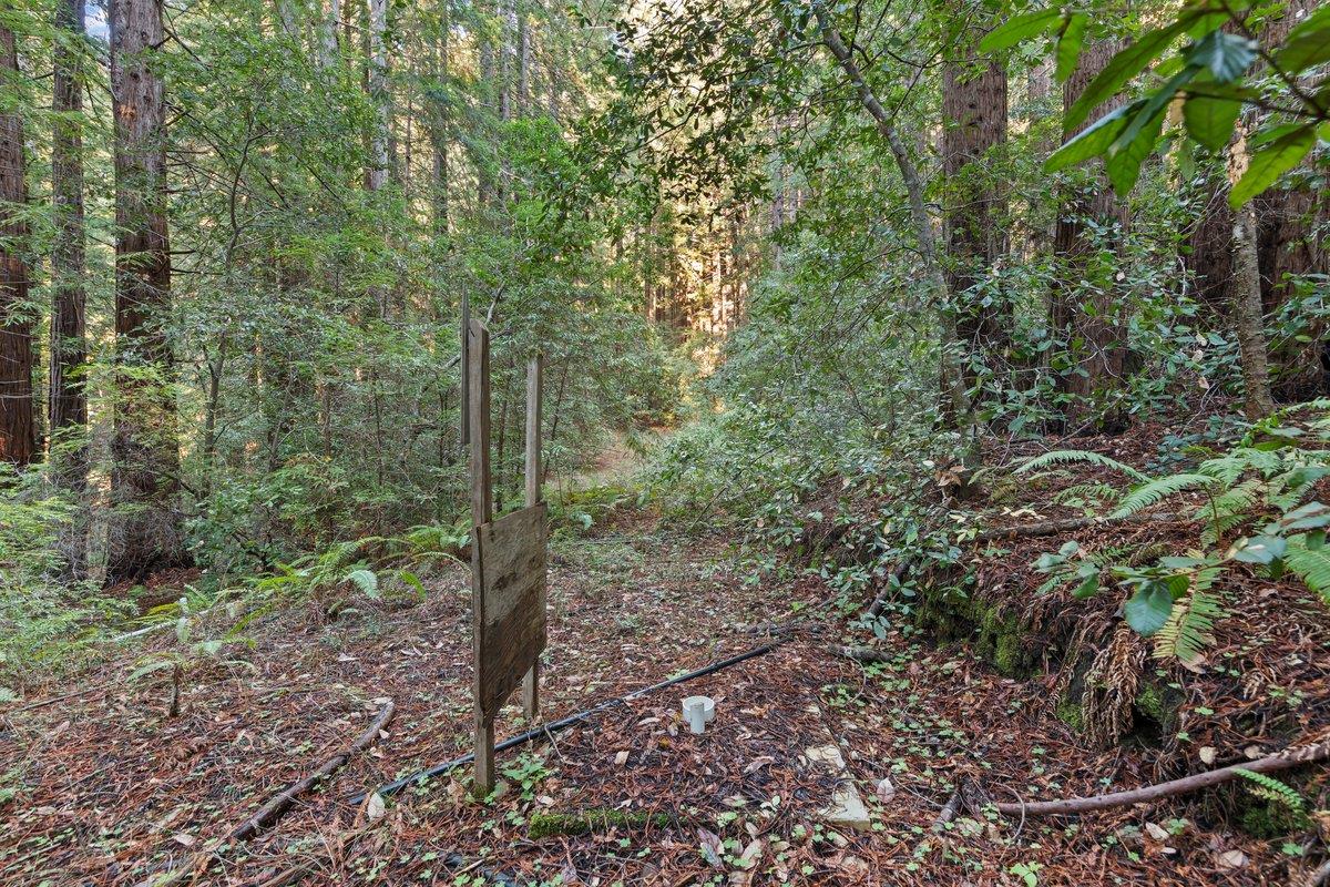 Detail Gallery Image 4 of 24 For 3936 Tunitas Creek Rd, Half Moon Bay,  CA 94019 - – Beds | – Baths