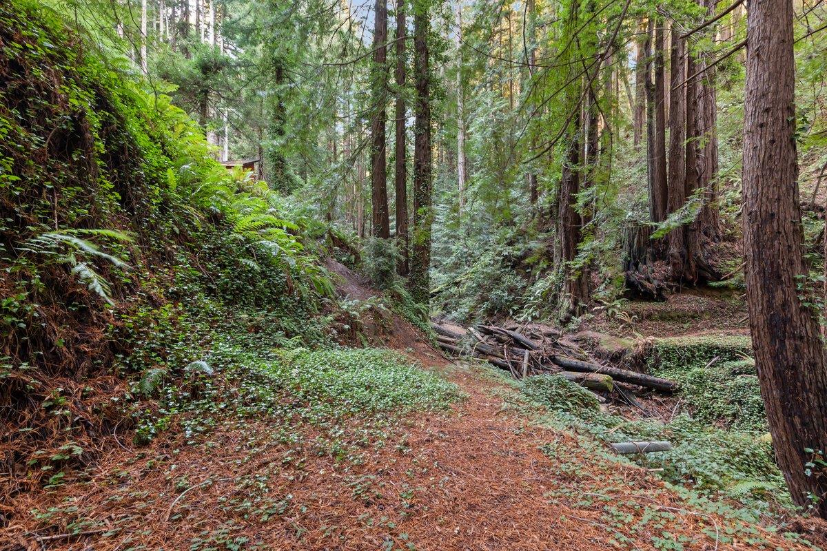 Detail Gallery Image 6 of 24 For 3936 Tunitas Creek Rd, Half Moon Bay,  CA 94019 - – Beds | – Baths