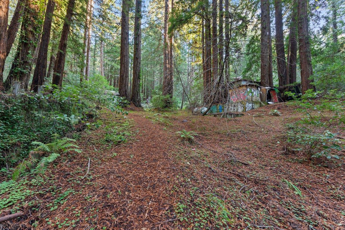 Detail Gallery Image 8 of 24 For 3936 Tunitas Creek Rd, Half Moon Bay,  CA 94019 - – Beds | – Baths