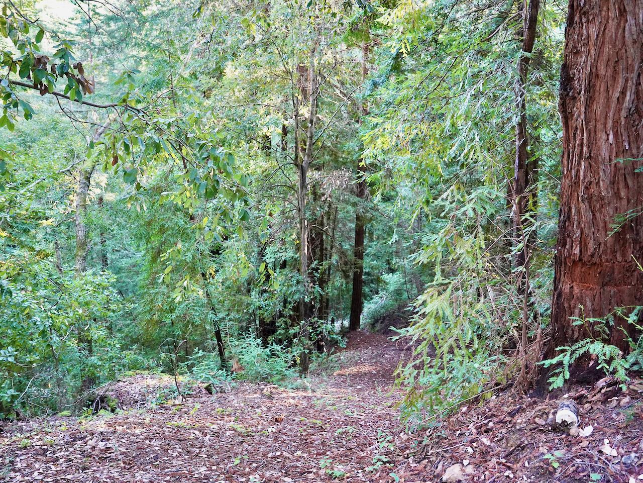 Detail Gallery Image 45 of 54 For 245 Northridge Dr, Scotts Valley,  CA 95066 - 4 Beds | 2/1 Baths