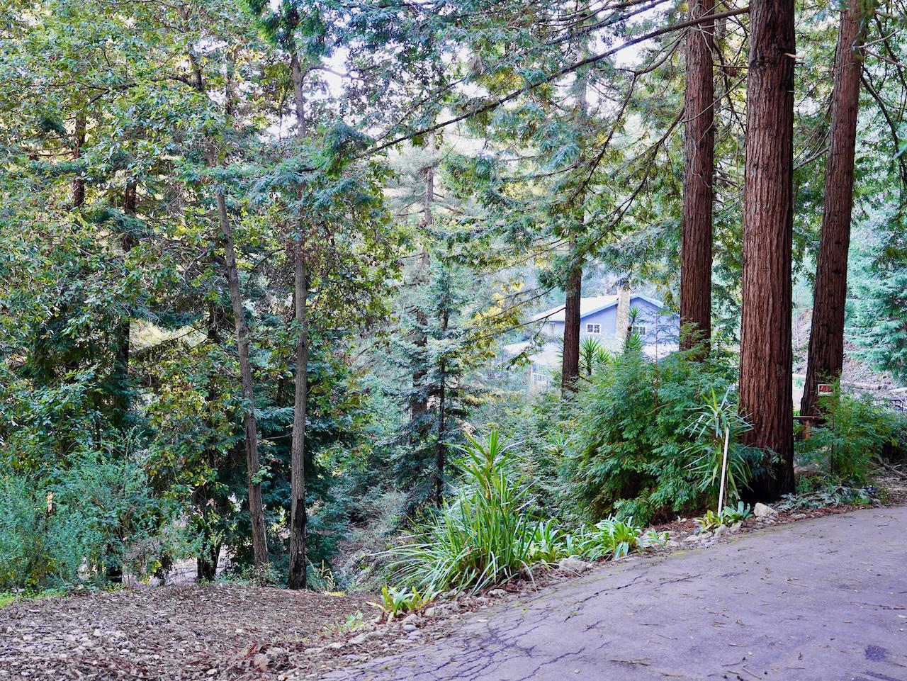 Detail Gallery Image 47 of 54 For 245 Northridge Dr, Scotts Valley,  CA 95066 - 4 Beds | 2/1 Baths