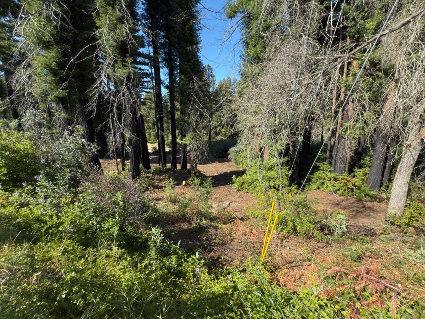 Detail Gallery Image 15 of 18 For 0 Fallen Leaf Dr, Boulder Creek,  CA 95006 - – Beds | – Baths