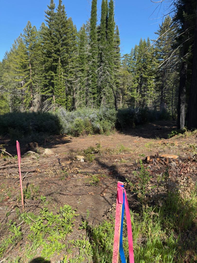 Detail Gallery Image 17 of 18 For 0 Fallen Leaf Dr, Boulder Creek,  CA 95006 - – Beds | – Baths