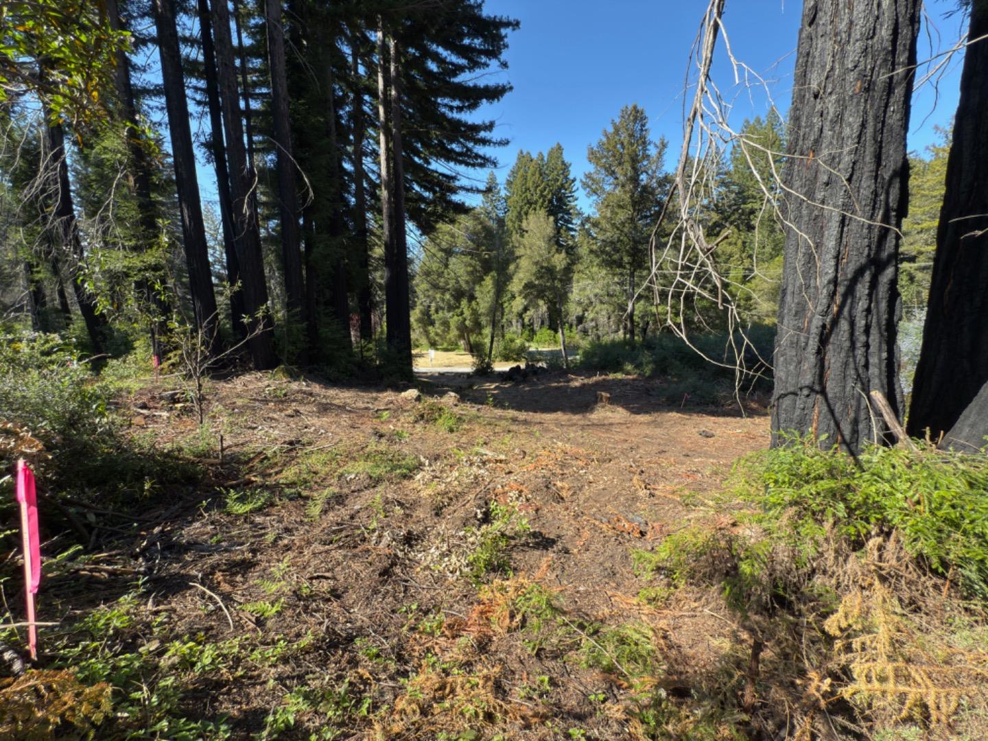 Detail Gallery Image 18 of 18 For 0 Fallen Leaf Dr, Boulder Creek,  CA 95006 - – Beds | – Baths