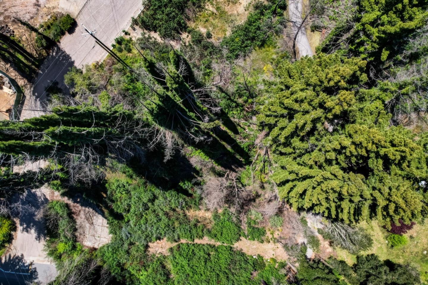 Detail Gallery Image 3 of 18 For 0 Fallen Leaf Dr, Boulder Creek,  CA 95006 - – Beds | – Baths