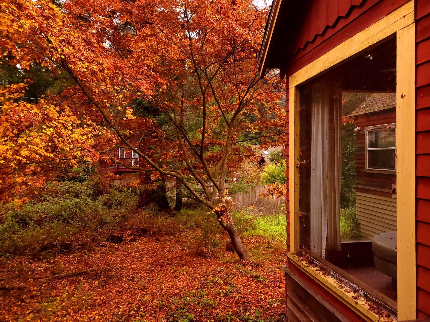 Detail Gallery Image 3 of 30 For 785 Cathedral, Aptos,  CA 95003 - 3 Beds | 1/1 Baths