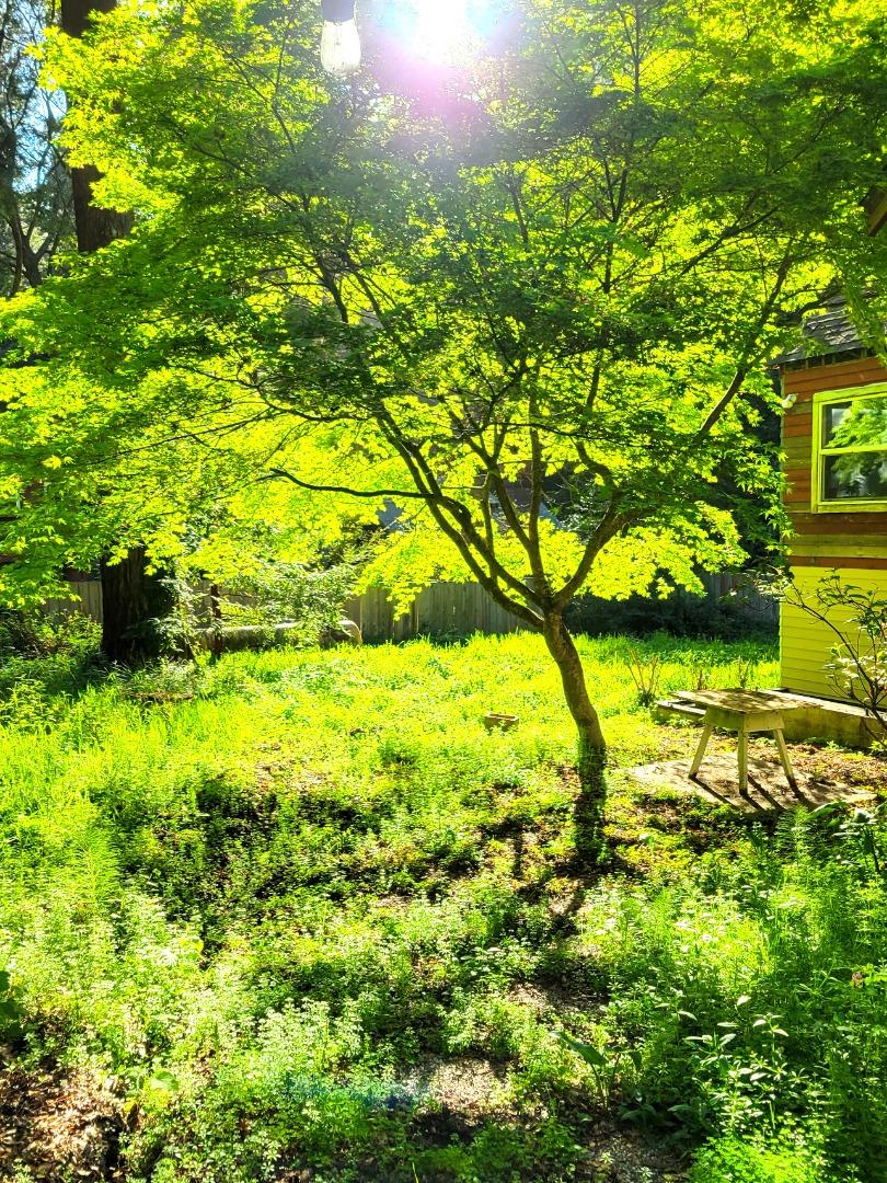 Detail Gallery Image 6 of 30 For 785 Cathedral, Aptos,  CA 95003 - 3 Beds | 1/1 Baths