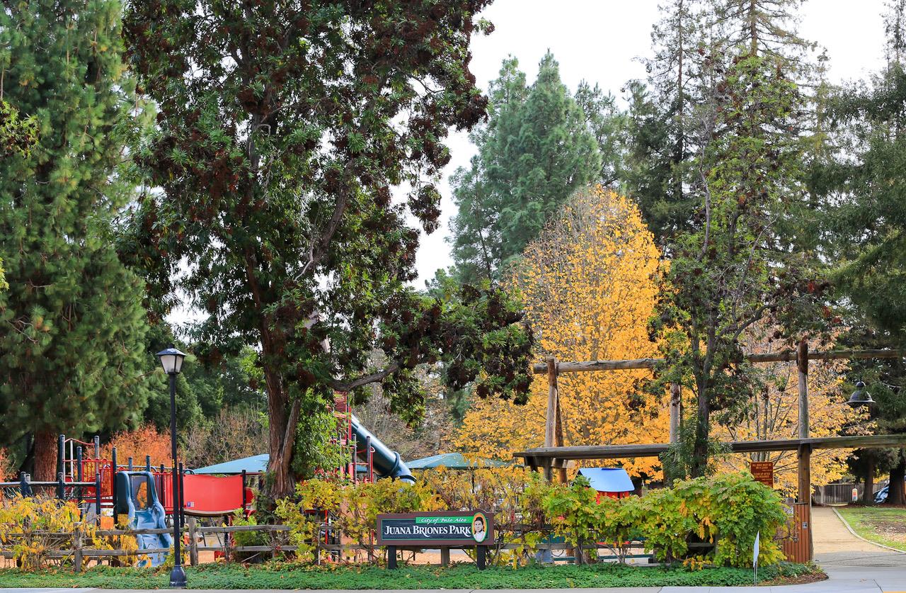 Detail Gallery Image 23 of 24 For 4014 Villa Vera, Palo Alto,  CA 94306 - 3 Beds | 2/1 Baths