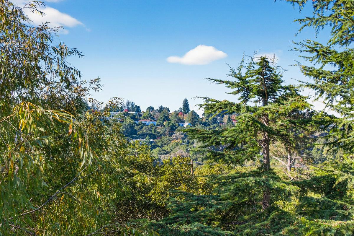 Detail Gallery Image 18 of 37 For 23 Treetop Ln, San Mateo,  CA 94402 - 5 Beds | 3 Baths