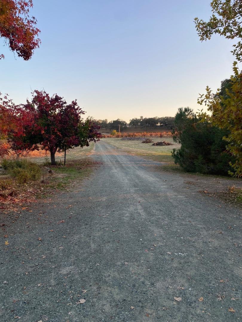 Detail Gallery Image 11 of 14 For 15800 Jackson St, Drytown,  CA 95699 - 3 Beds | 2 Baths
