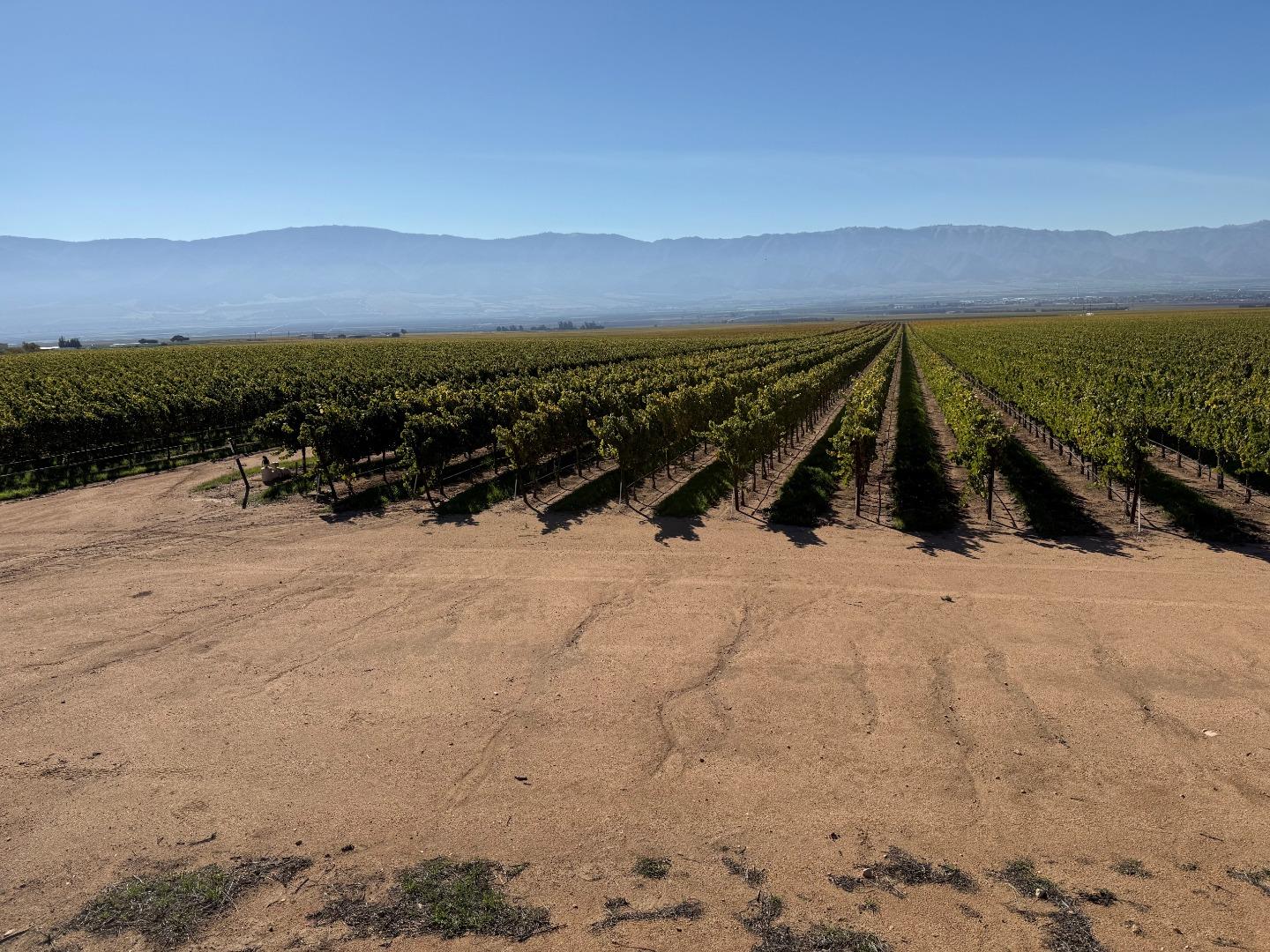 Detail Gallery Image 3 of 9 For 33155 Gloria Rd, Gonzales,  CA 93926 - – Beds | – Baths