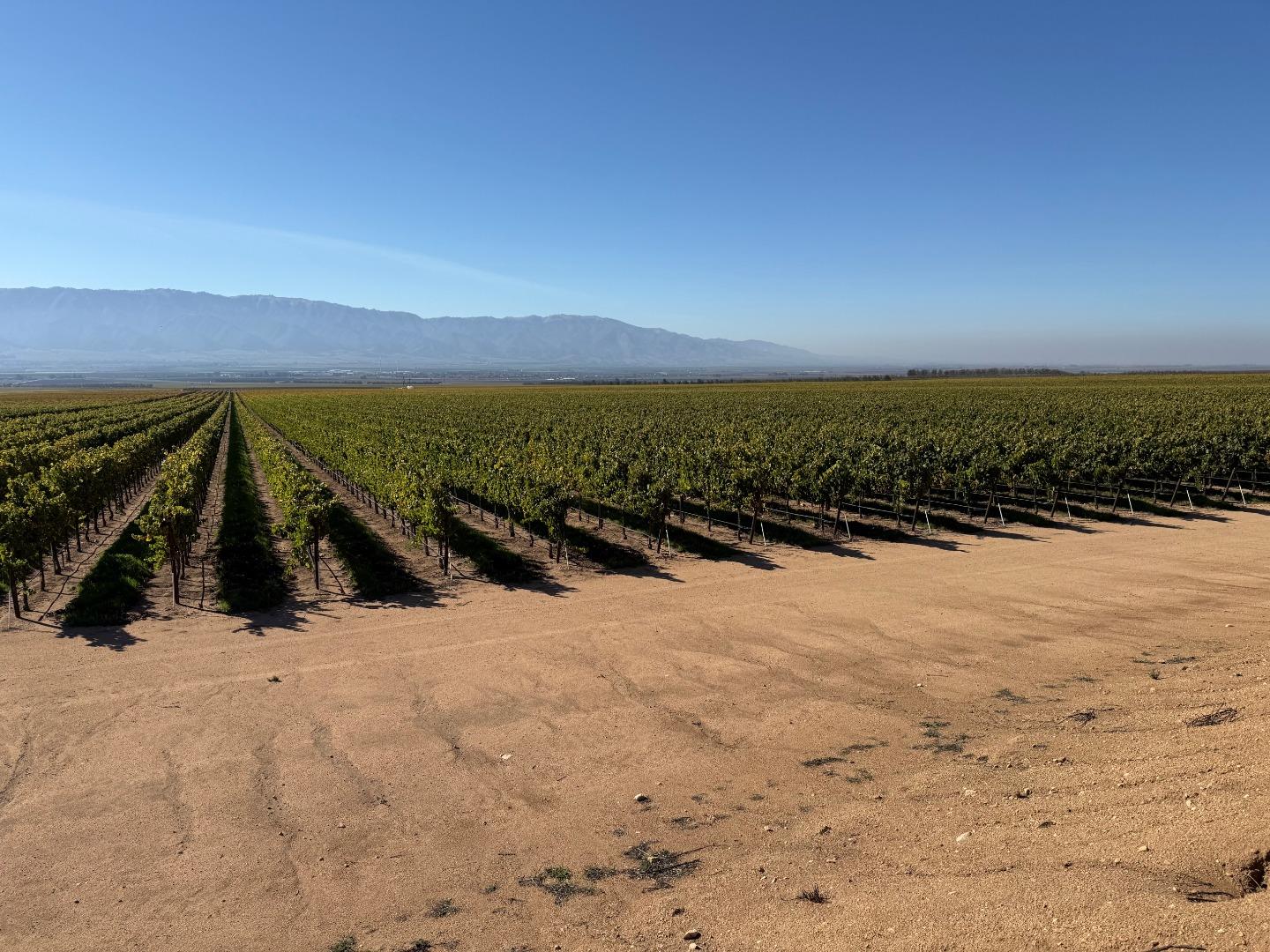 Detail Gallery Image 4 of 9 For 33155 Gloria Rd, Gonzales,  CA 93926 - – Beds | – Baths