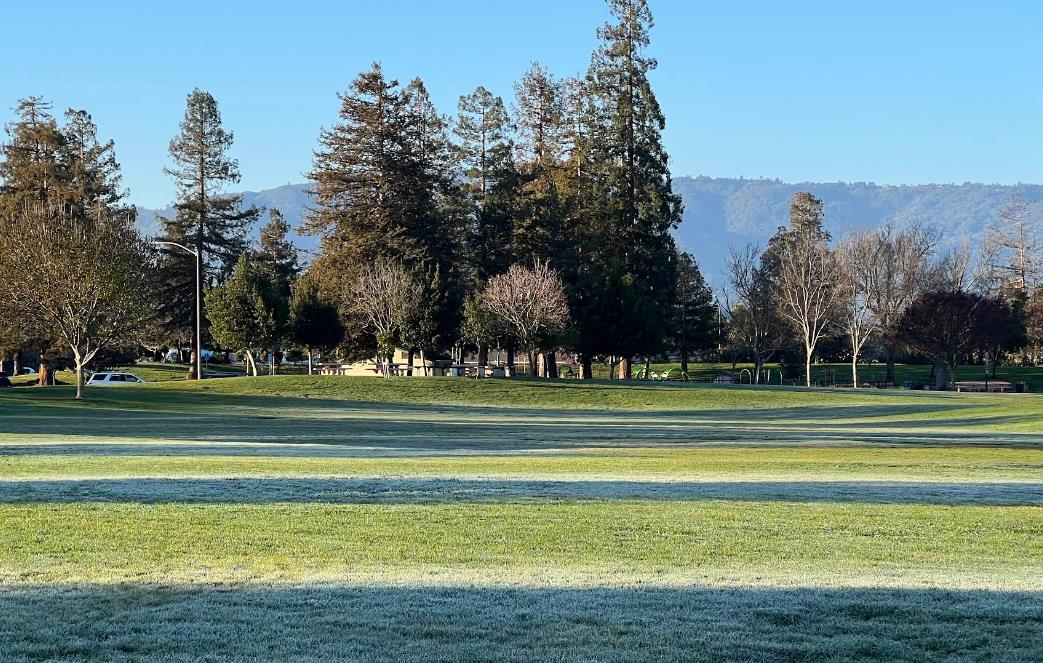 Detail Gallery Image 47 of 54 For 1732 Fallbrook Ave, San Jose,  CA 95130 - 4 Beds | 2 Baths