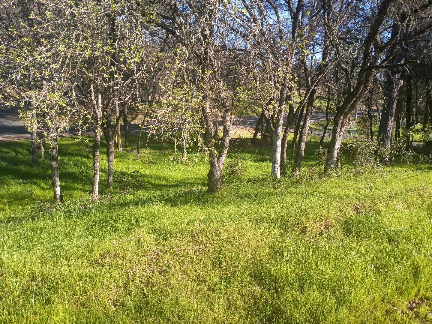 Detail Gallery Image 4 of 10 For 0 Brookdale Dr, Oroville,  CA 95966 - – Beds | – Baths