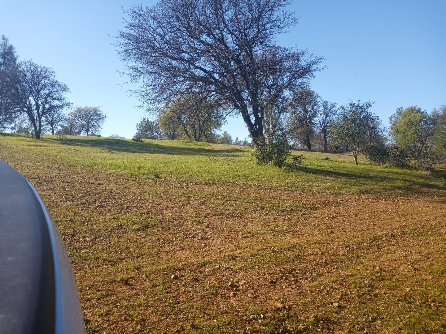 Detail Gallery Image 6 of 10 For 0 Brookdale Dr, Oroville,  CA 95966 - – Beds | – Baths