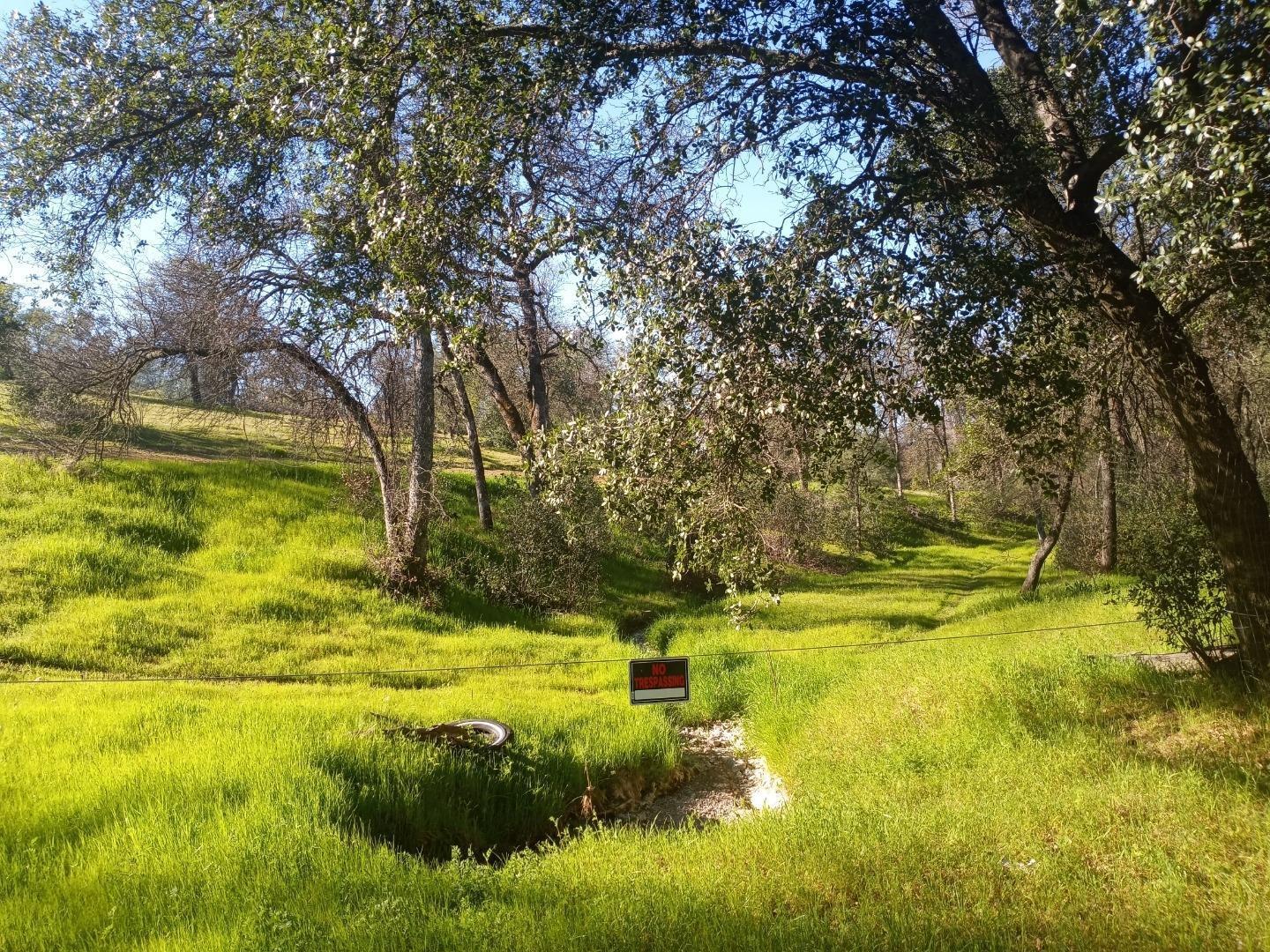 Detail Gallery Image 9 of 10 For 0 Brookdale Dr, Oroville,  CA 95966 - – Beds | – Baths