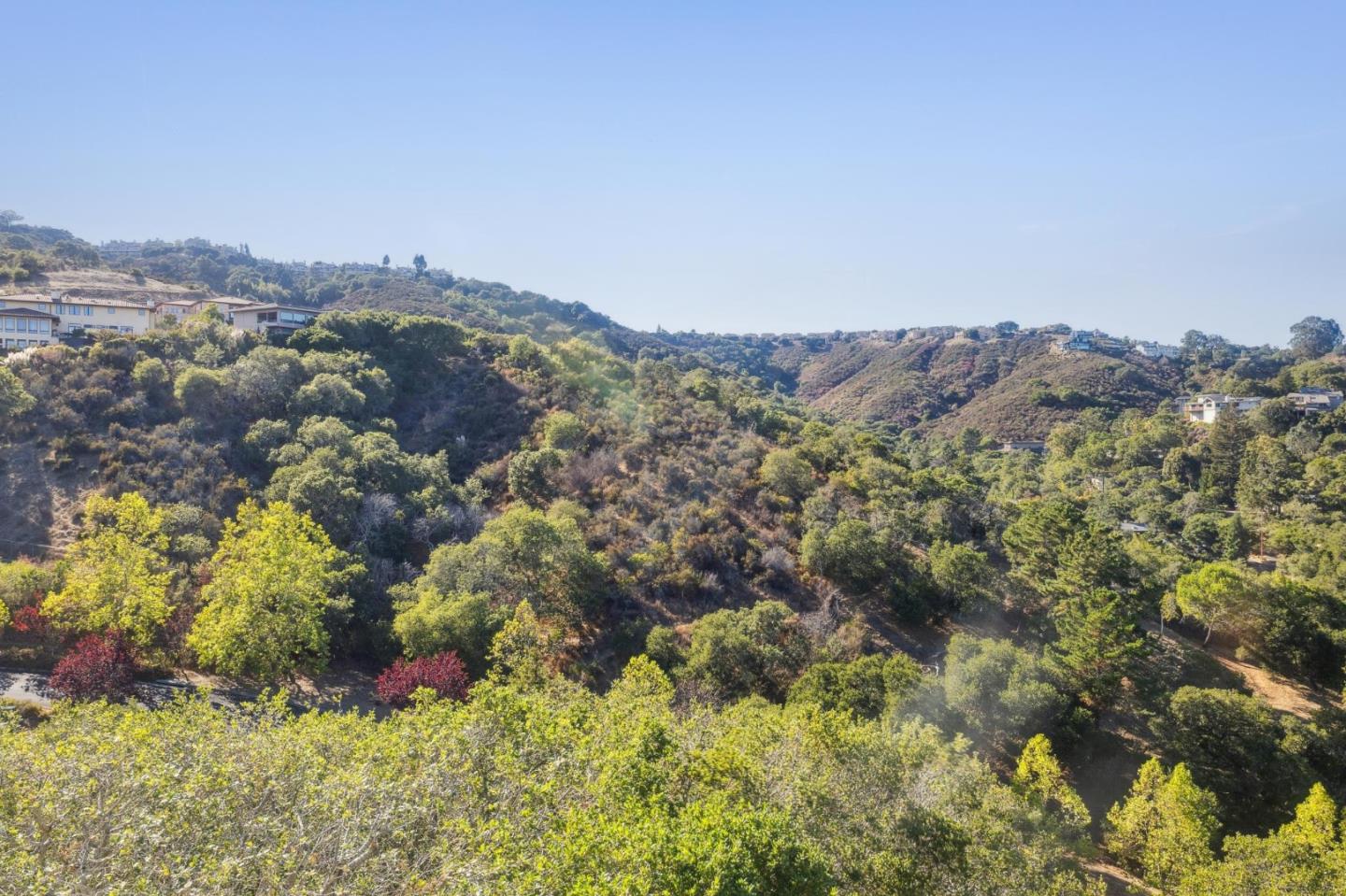 Detail Gallery Image 106 of 165 For 289 Kings Ct, San Carlos,  CA 94070 - 4 Beds | 3/1 Baths