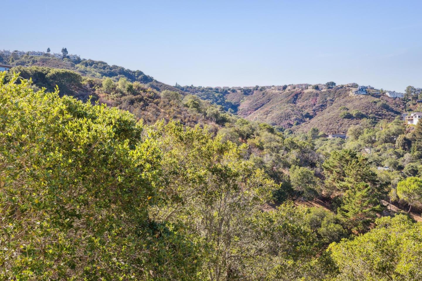 Detail Gallery Image 139 of 165 For 289 Kings Ct, San Carlos,  CA 94070 - 4 Beds | 3/1 Baths