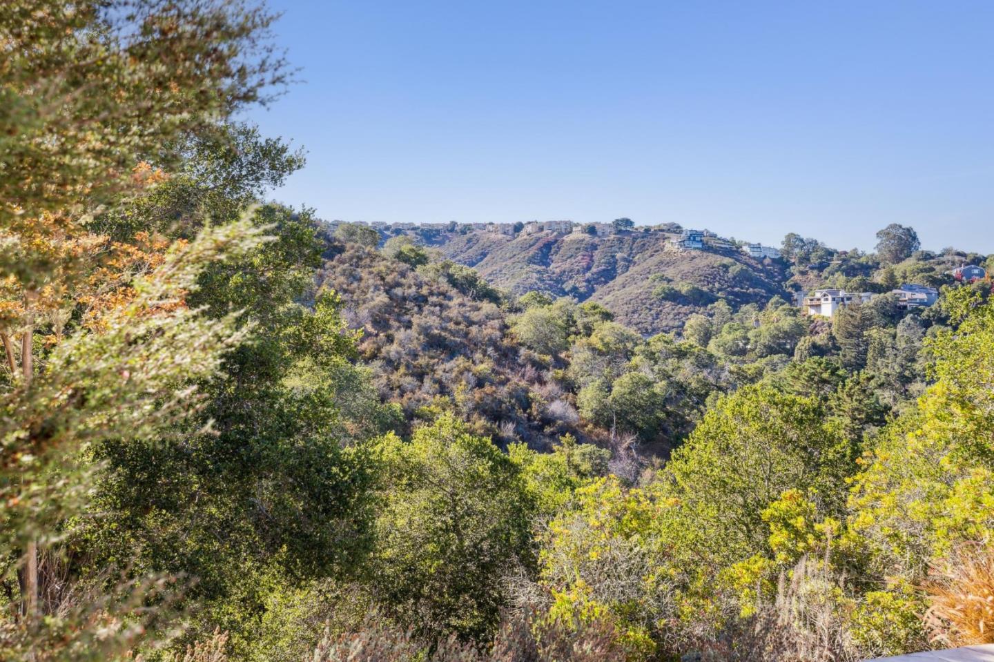 Detail Gallery Image 81 of 165 For 289 Kings Ct, San Carlos,  CA 94070 - 4 Beds | 3/1 Baths