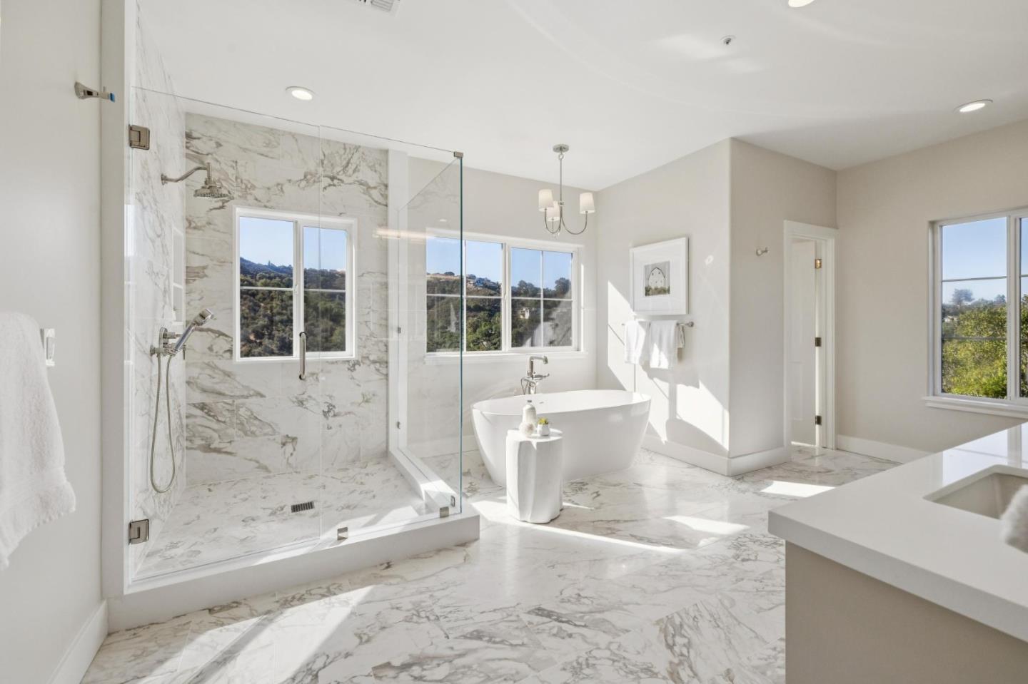 Detail Gallery Image 98 of 165 For 289 Kings Ct, San Carlos,  CA 94070 - 4 Beds | 3/1 Baths