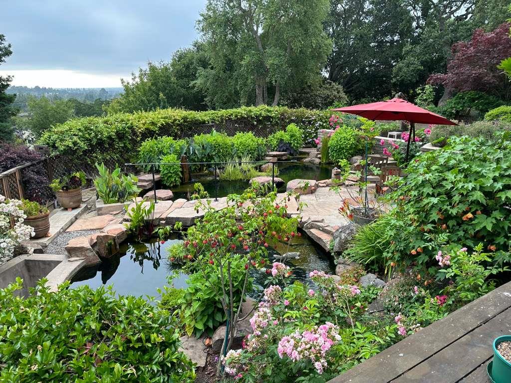 Detail Gallery Image 75 of 78 For 27856 Black Mountain Rd, Los Altos Hills,  CA 94022 - 5 Beds | 3/1 Baths