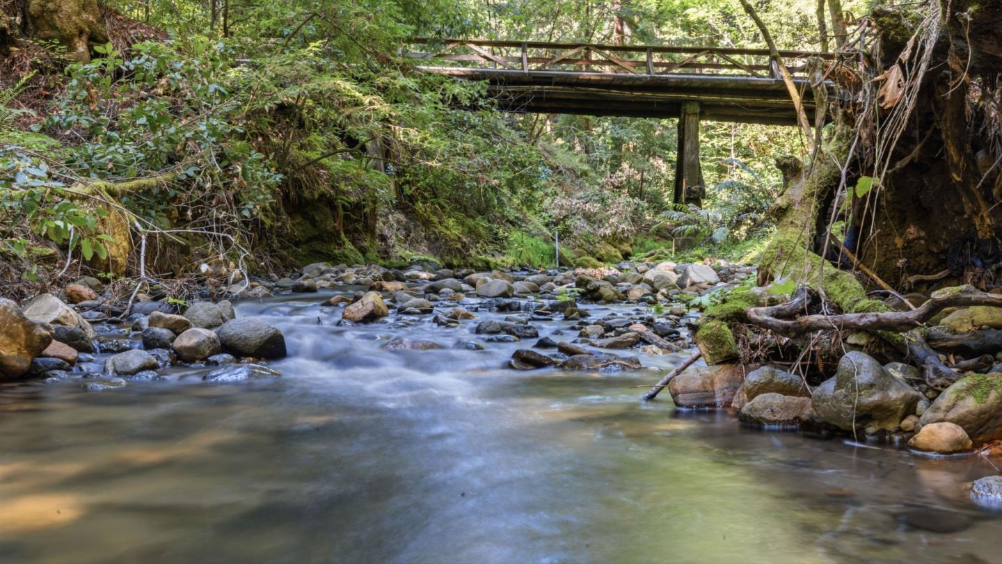 Detail Gallery Image 100 of 104 For 41 Back Rd, La Honda,  CA 94020 - 4 Beds | 3 Baths