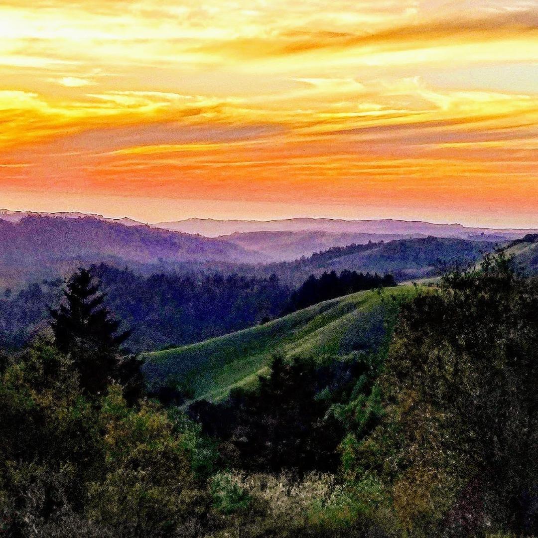 Detail Gallery Image 102 of 104 For 41 Back Rd, La Honda,  CA 94020 - 4 Beds | 3 Baths