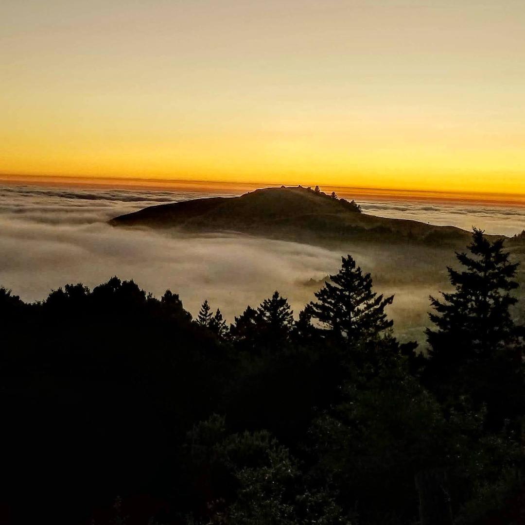 Detail Gallery Image 103 of 104 For 41 Back Rd, La Honda,  CA 94020 - 4 Beds | 3 Baths