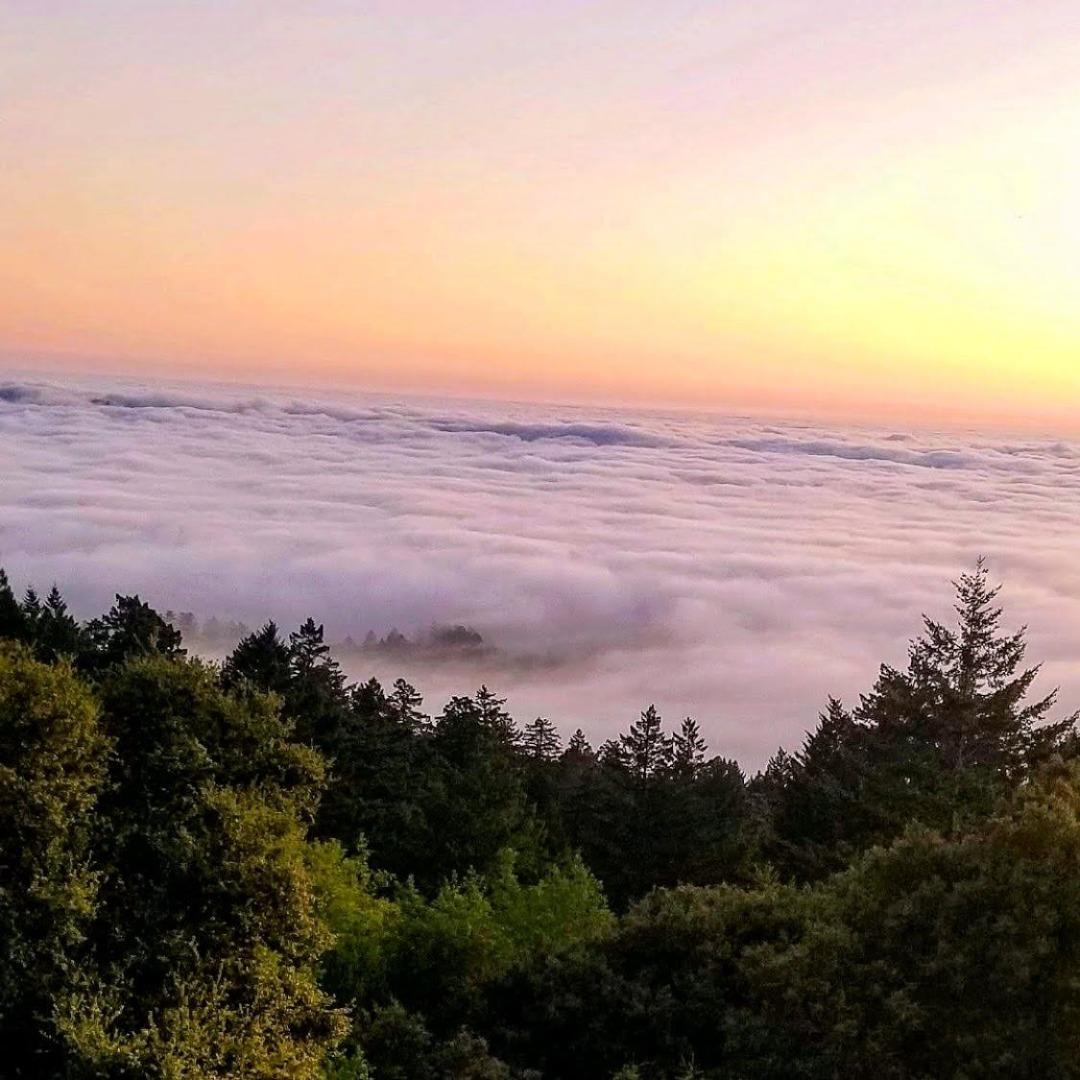 Detail Gallery Image 104 of 104 For 41 Back Rd, La Honda,  CA 94020 - 4 Beds | 3 Baths