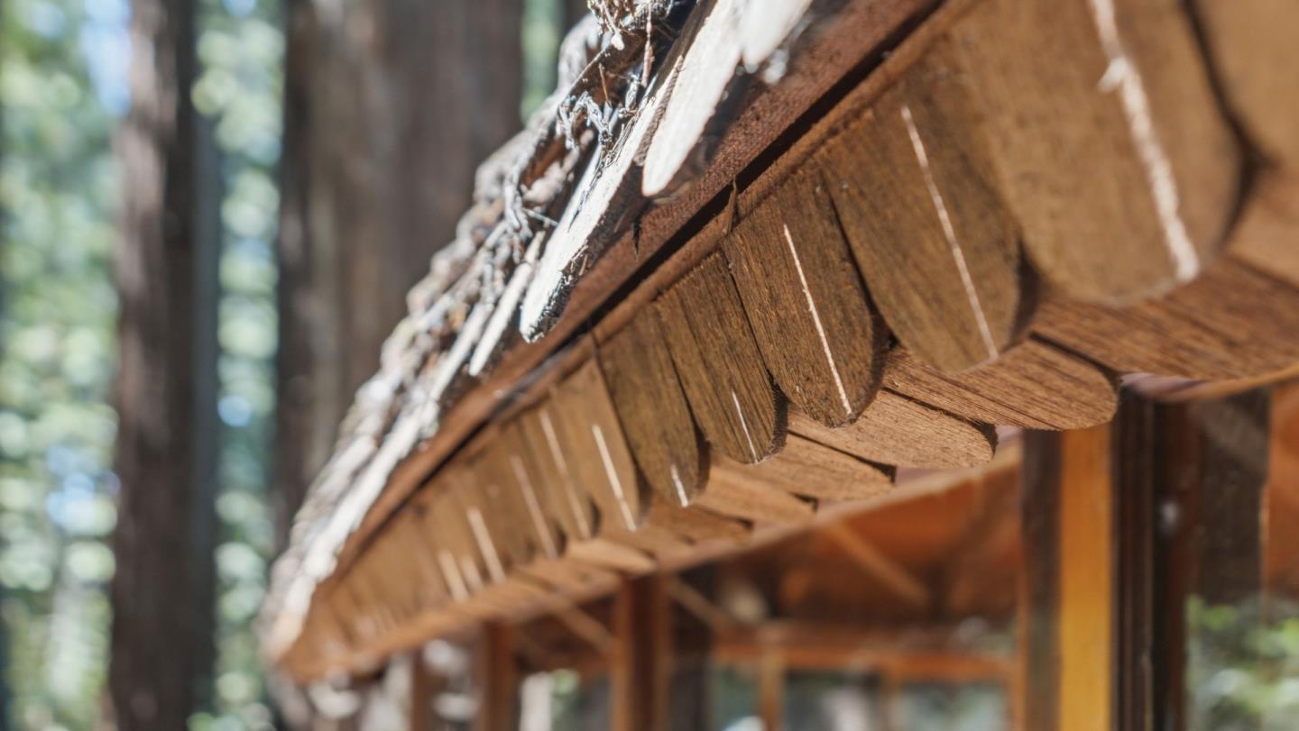 Detail Gallery Image 55 of 104 For 41 Back Rd, La Honda,  CA 94020 - 4 Beds | 3 Baths