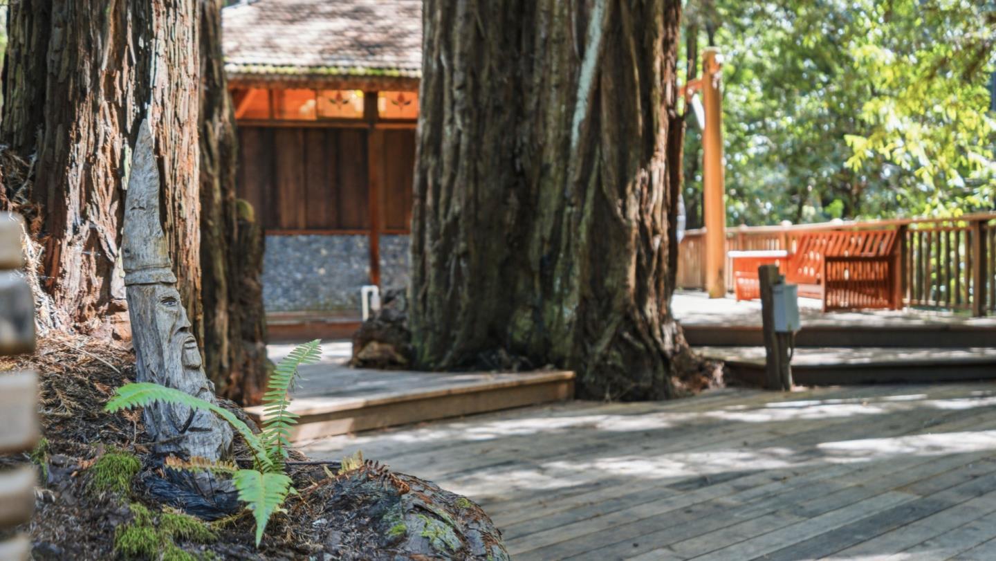 Detail Gallery Image 62 of 104 For 41 Back Rd, La Honda,  CA 94020 - 4 Beds | 3 Baths