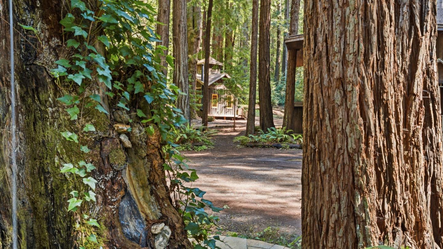 Detail Gallery Image 75 of 104 For 41 Back Rd, La Honda,  CA 94020 - 4 Beds | 3 Baths