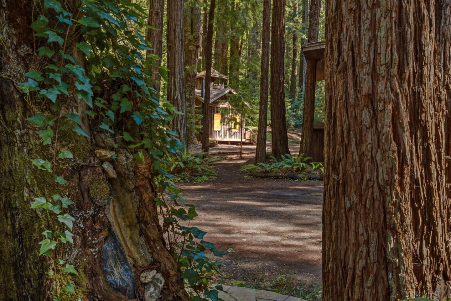 Detail Gallery Image 92 of 104 For 41 Back Rd, La Honda,  CA 94020 - 4 Beds | 3 Baths